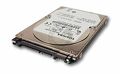 SATA Festplatte 250 GB, Neu
